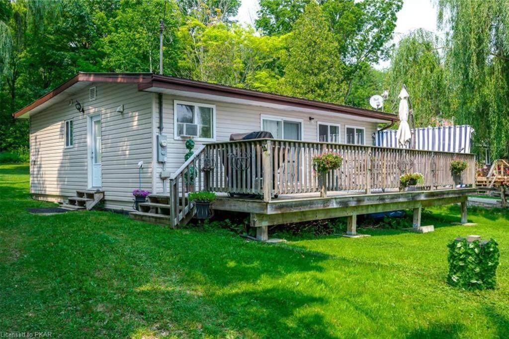 Beautiful Cottage 14’ft swim spa, Sauna & Kayaks