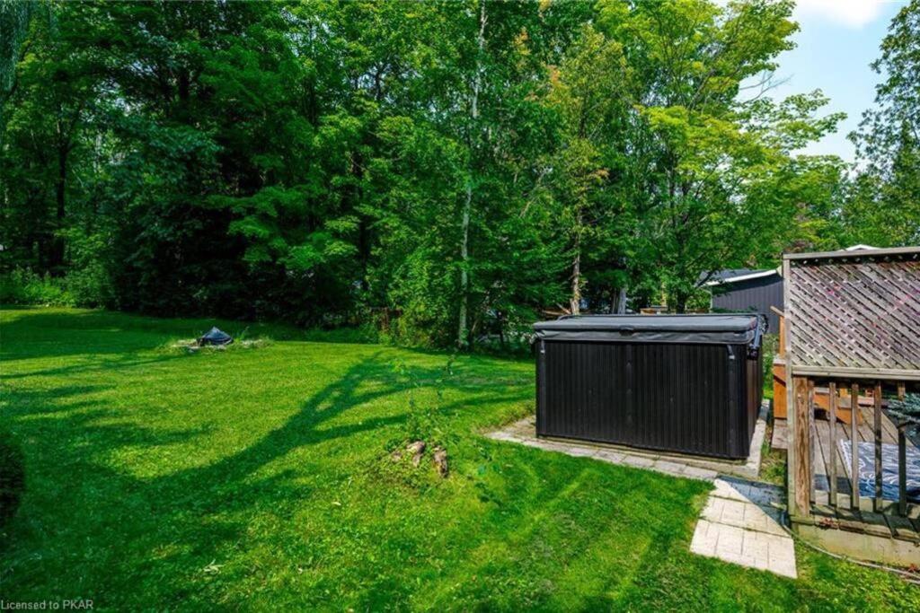 Beautiful Cottage 14’ft swim spa, Sauna & Kayaks