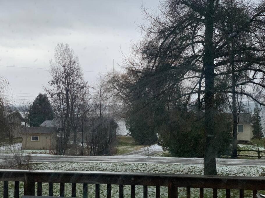 Beautiful Cottage 14’ft swim spa, Sauna & Kayaks