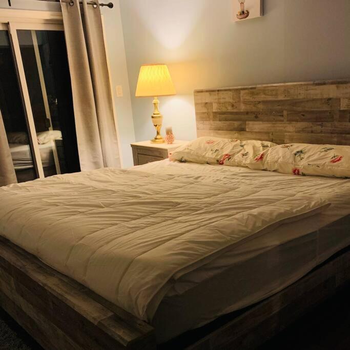 Beautiful Cottage 14’ft swim spa, Sauna & Kayaks