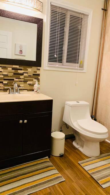 Beautiful Cottage 14’ft swim spa, Sauna & Kayaks