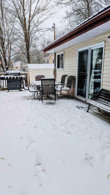 Beautiful Cottage 14’ft swim spa, Sauna & Kayaks