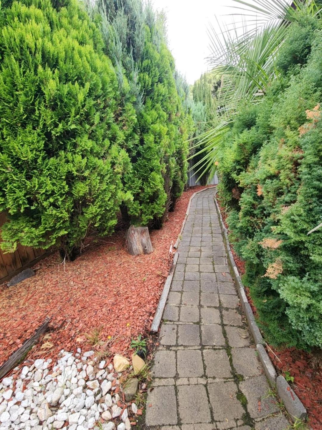 Enchanting Tree Grove, Unique Private Cabin