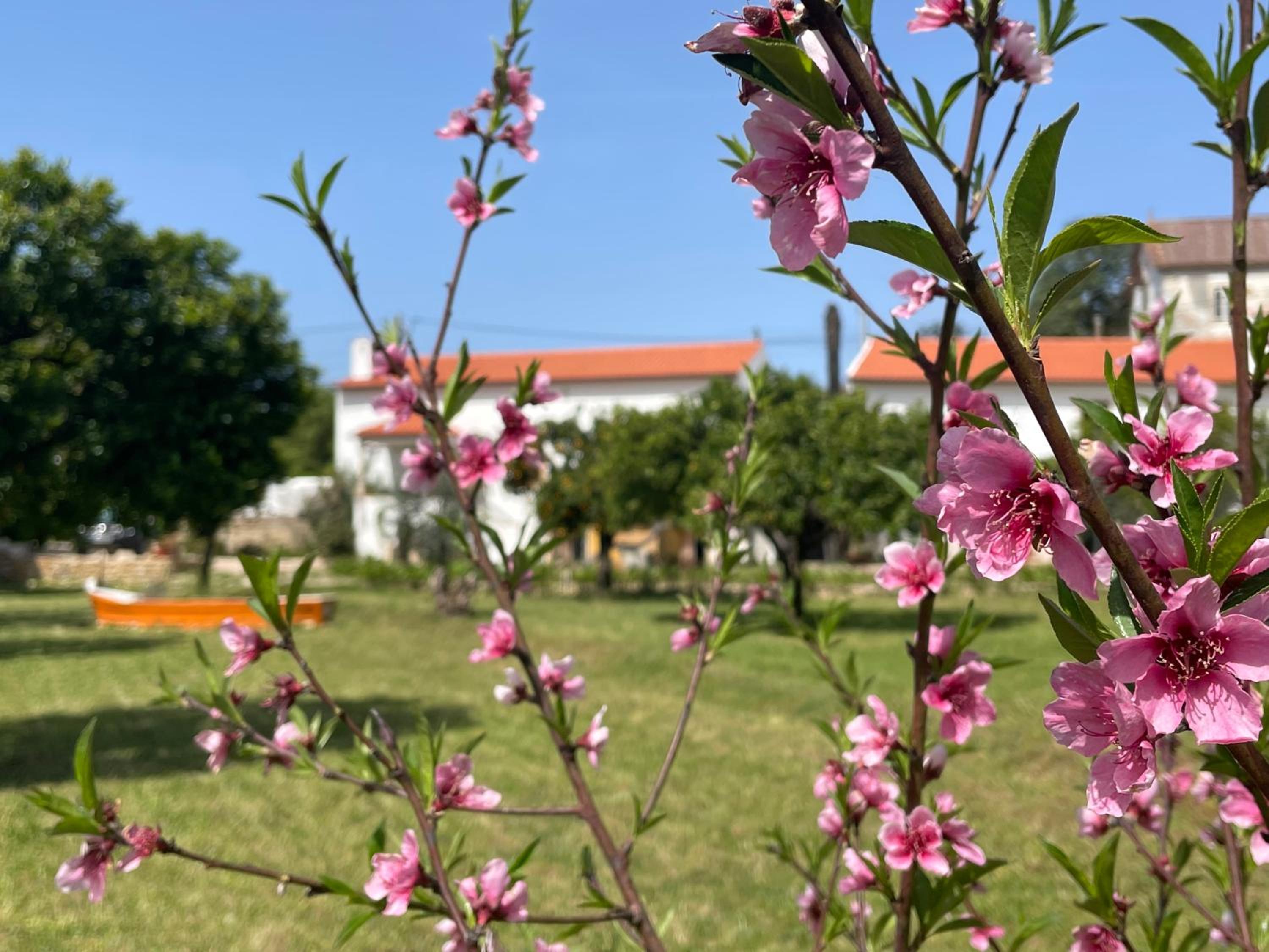 Casa do Prado