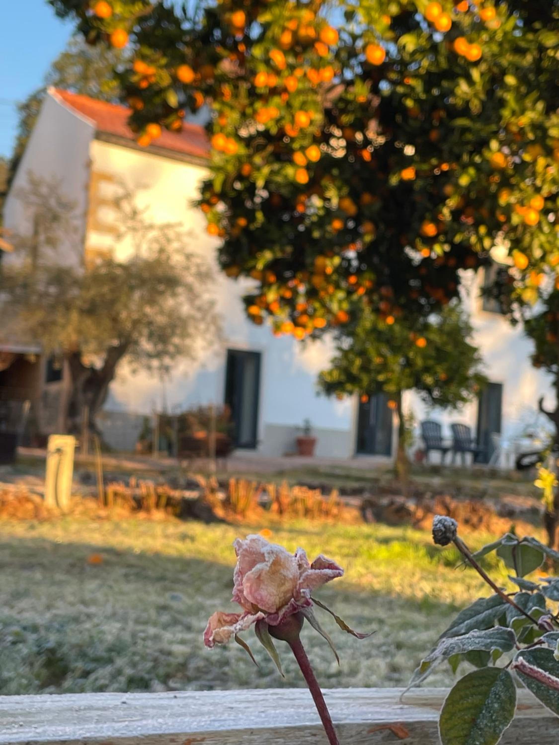 Casa do Prado