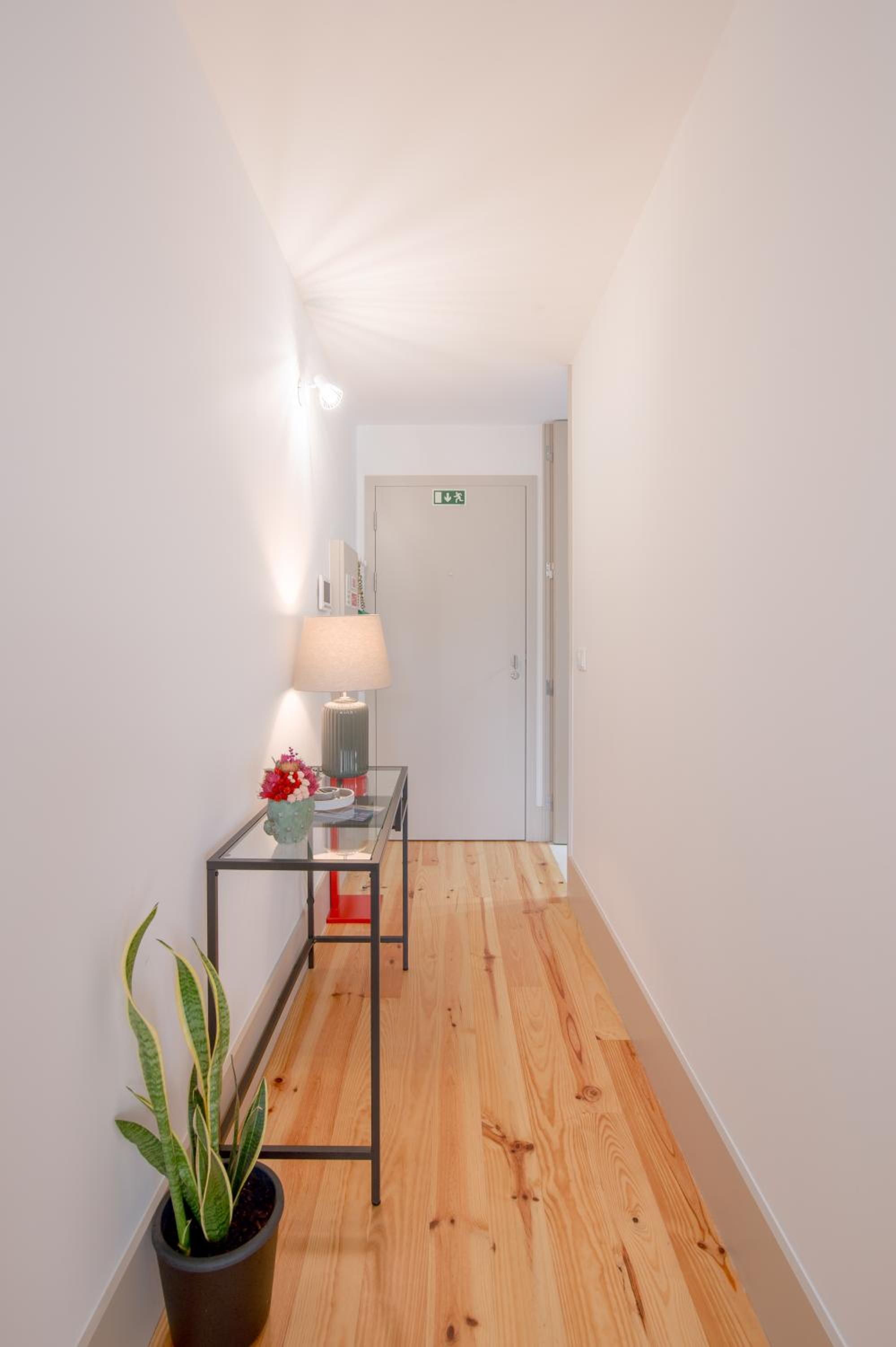 NEW - Bright Studio in Santa Catarina view 2