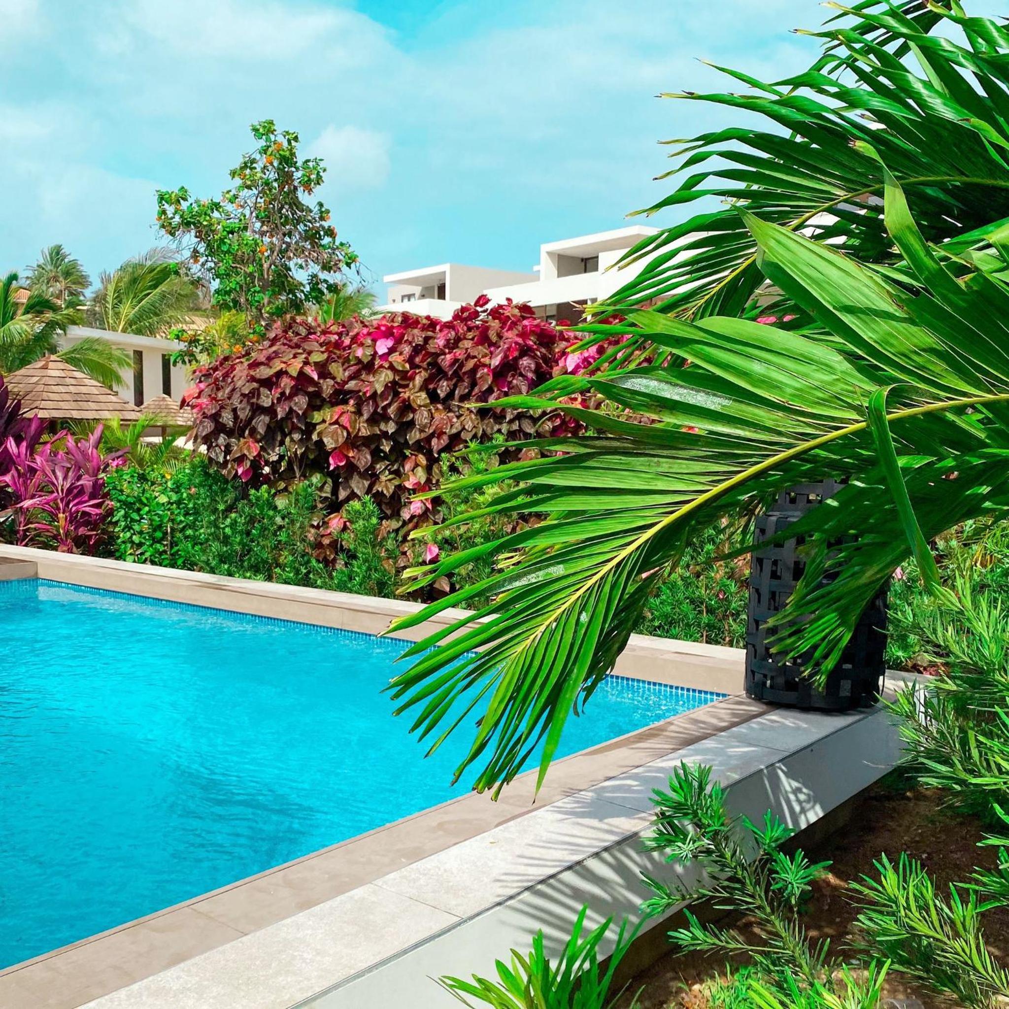 Dushi Home Jan Sofat Luxe