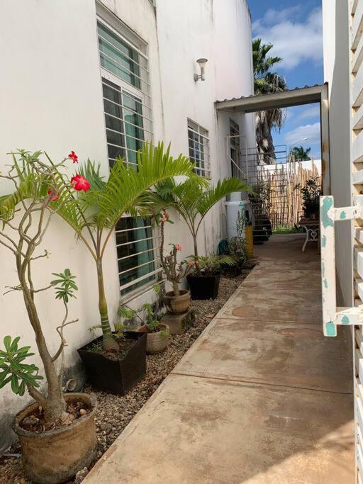 Nice and well located apartment in Santa Fe view 5