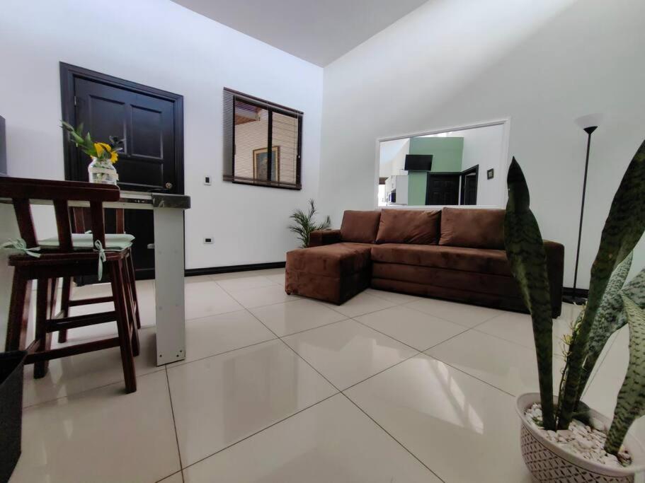 Hotel Boutique CasAguacate Apt Morfo close to Airport