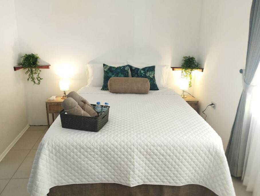 Hotel Boutique CasAguacate Apt Morfo close to Airport