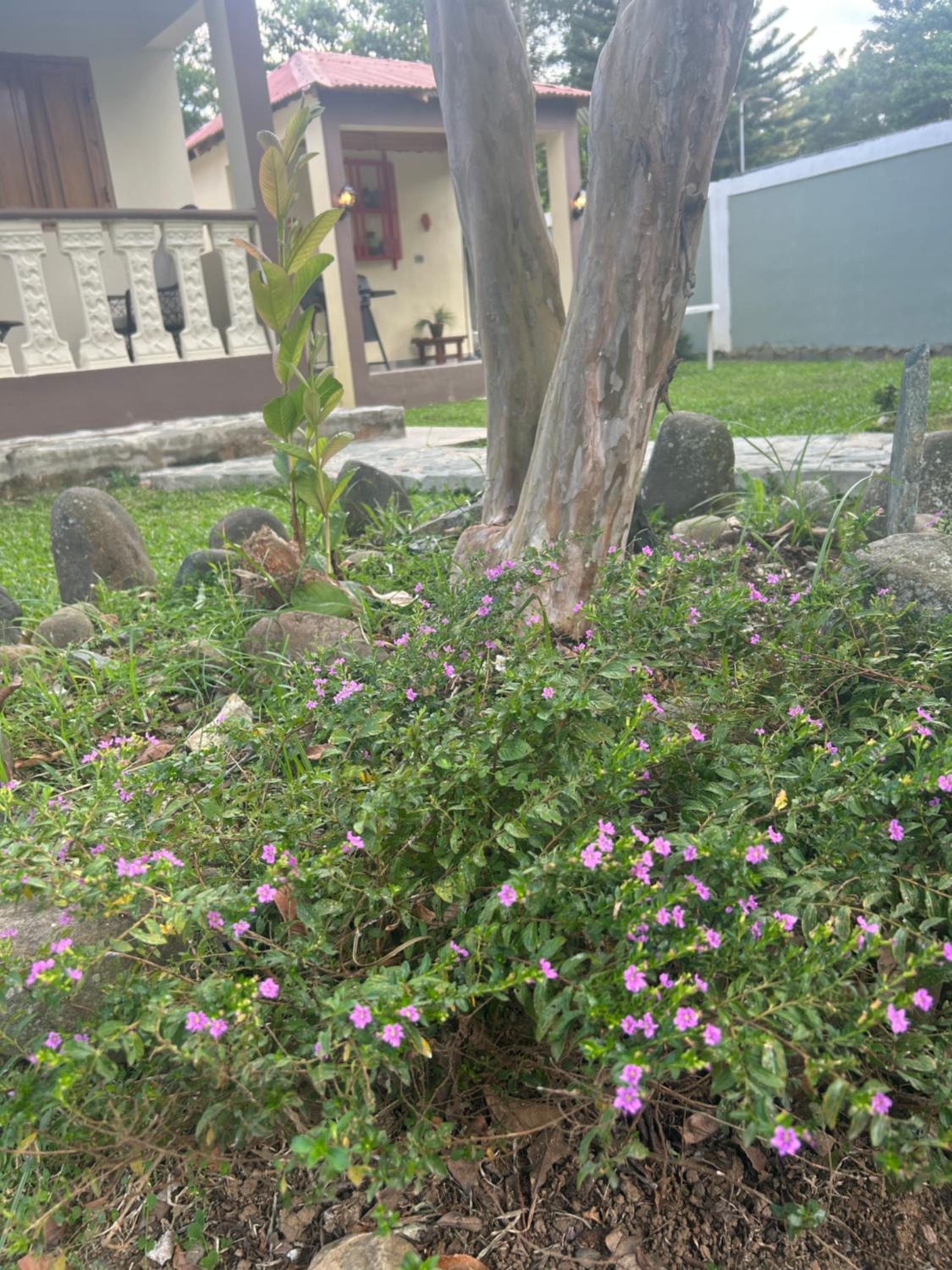 Villa Campestre en Bonao