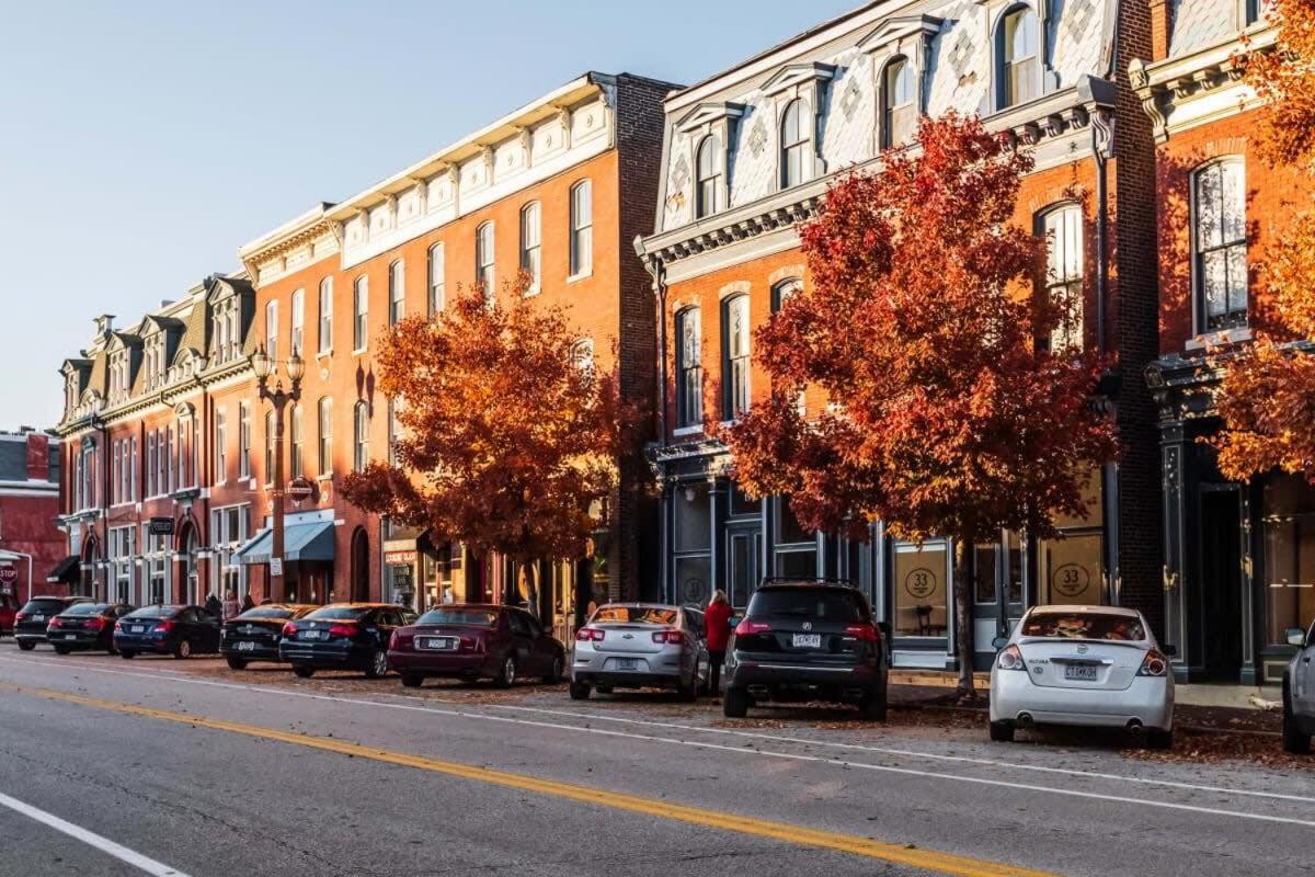 Revived 1 BR Apt by Soulard view 2