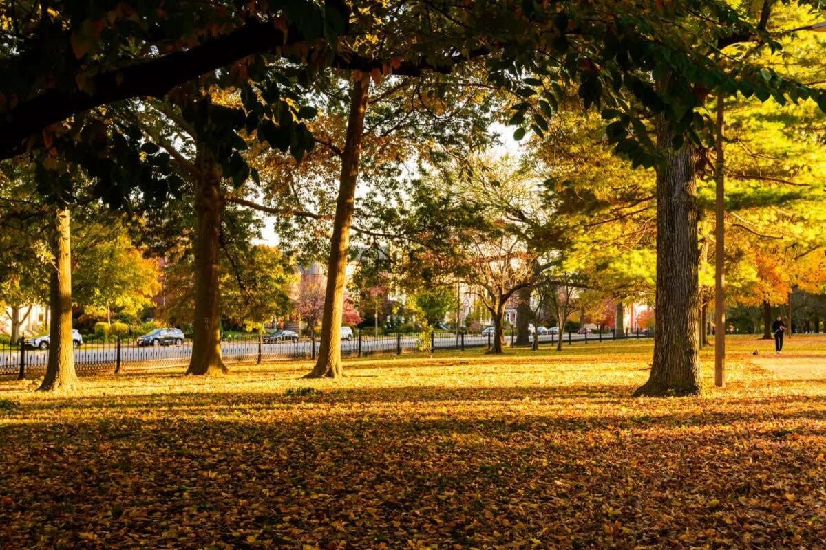1 BR Apt 3 miles to Botanical Gardens view 5