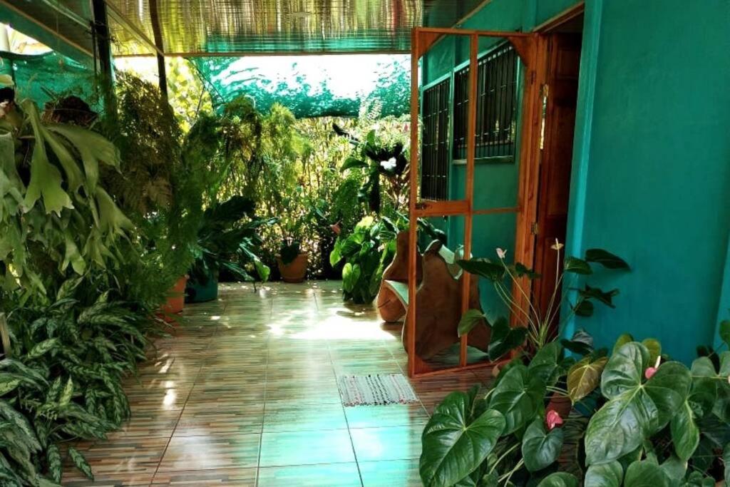 Hospedaje Valencia Osa, CR