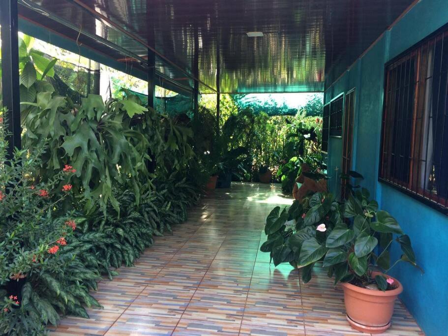 Hospedaje Valencia Osa, CR