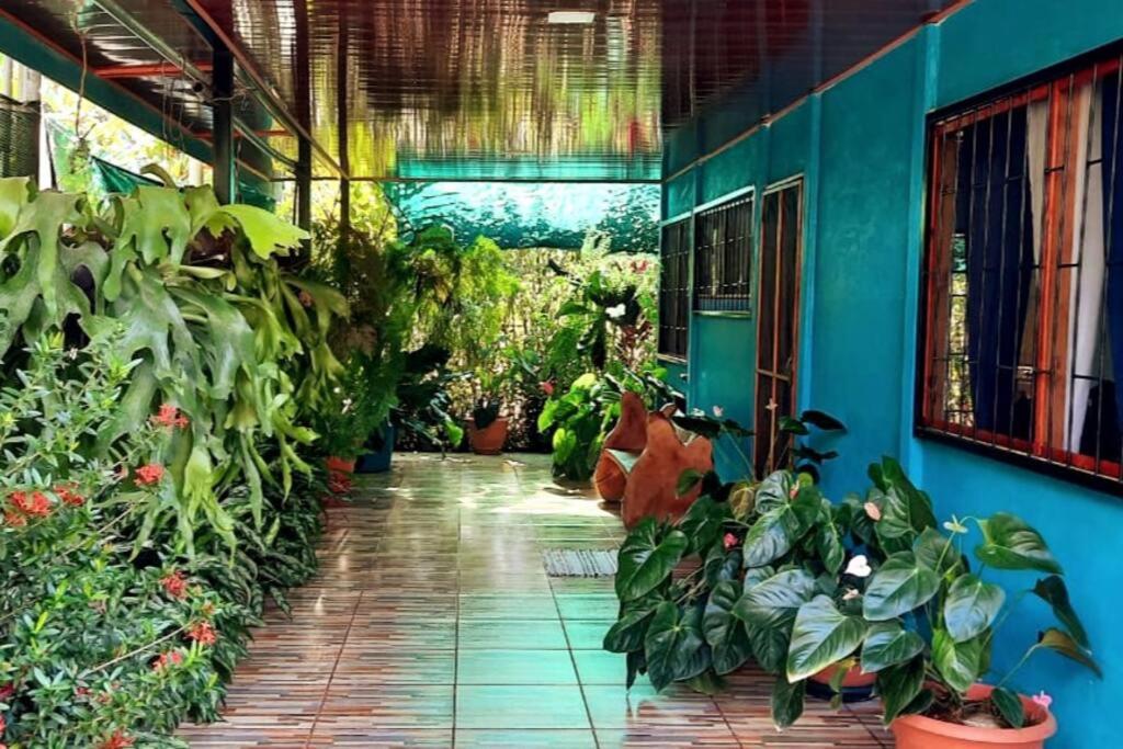 Hospedaje Valencia Osa, CR
