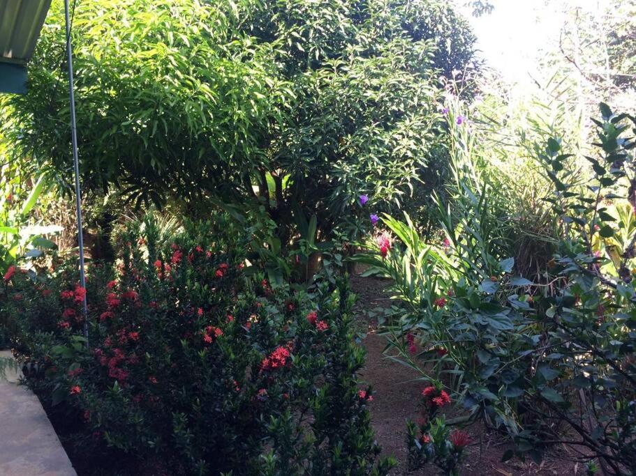 Hospedaje Valencia Osa, CR