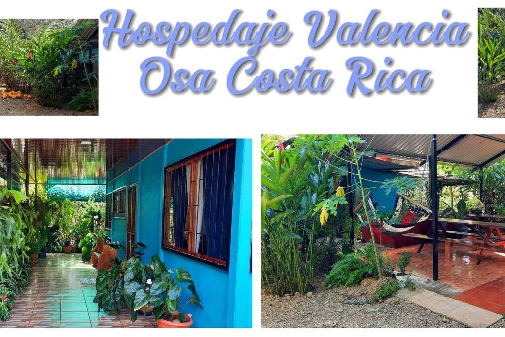 Hospedaje Valencia Osa, CR