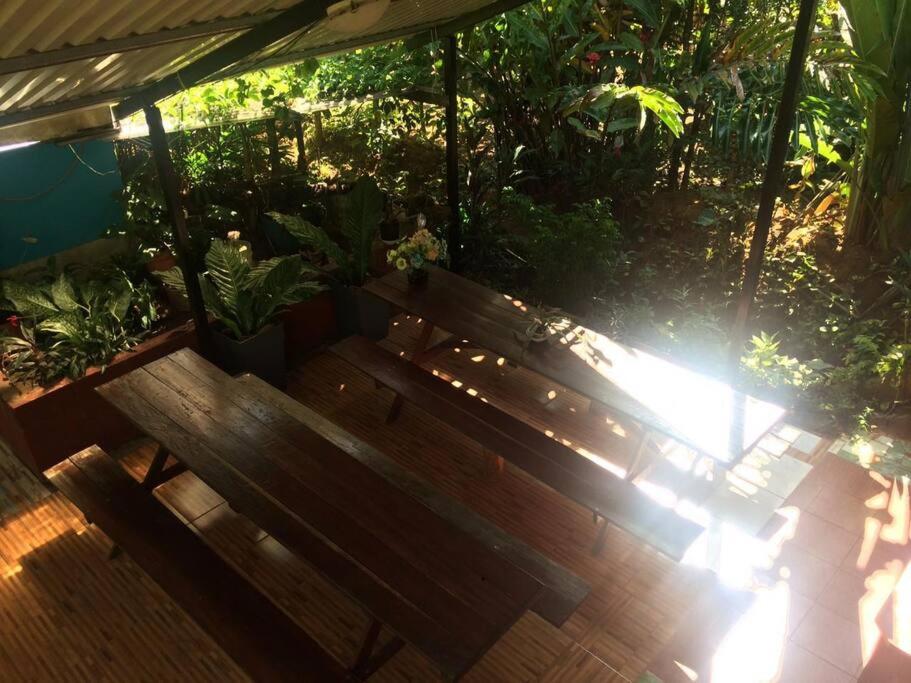 Hospedaje Valencia Osa, CR