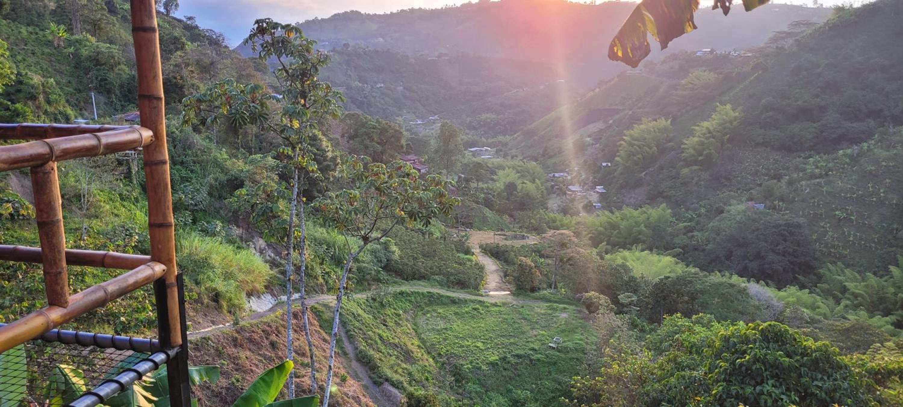 Finca los tucanes