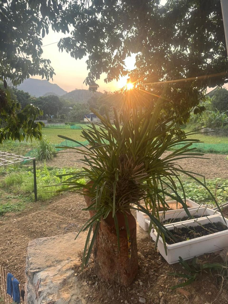 Peaceful MaiChau Homestay view 5