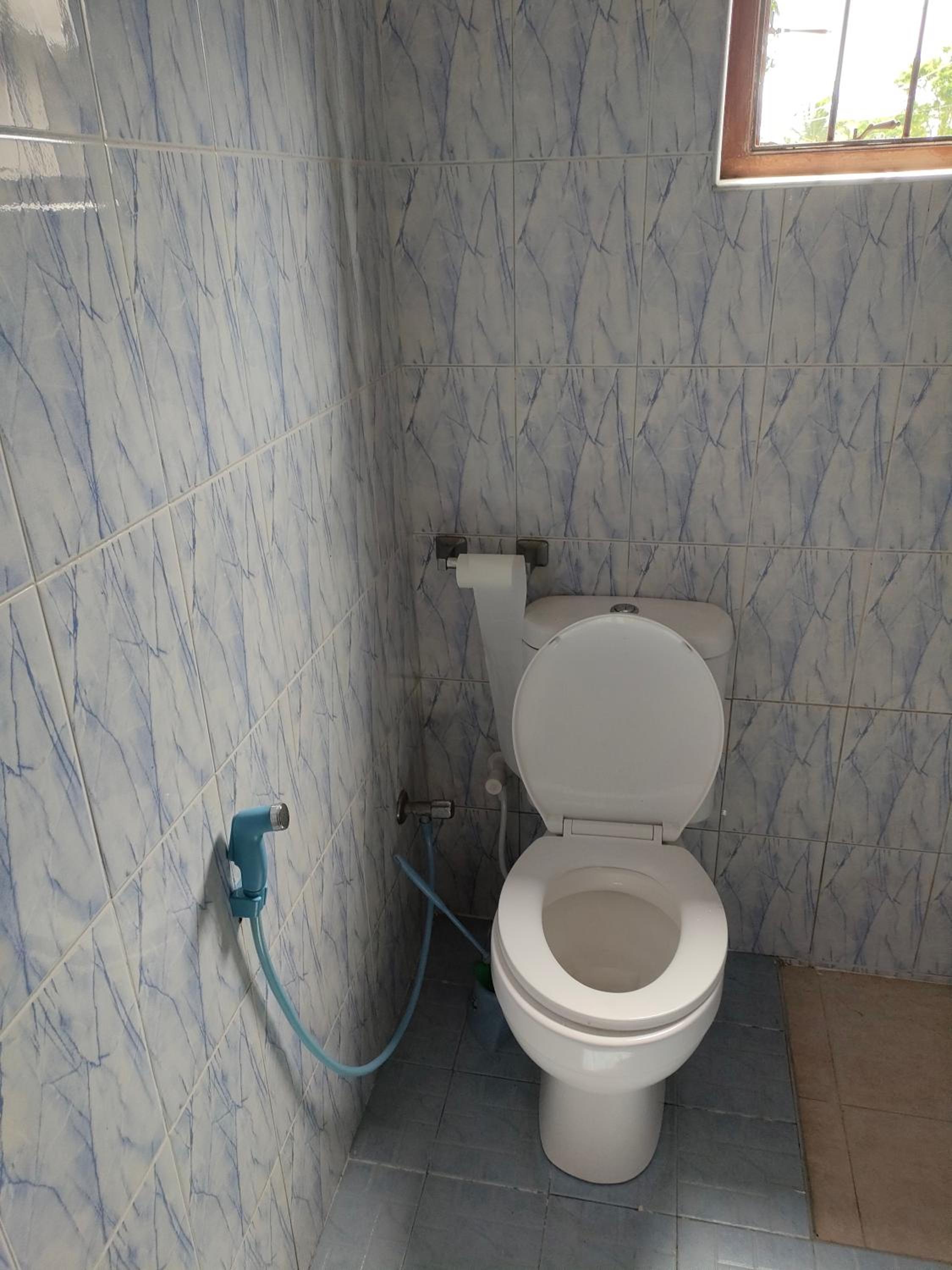 Photo 46