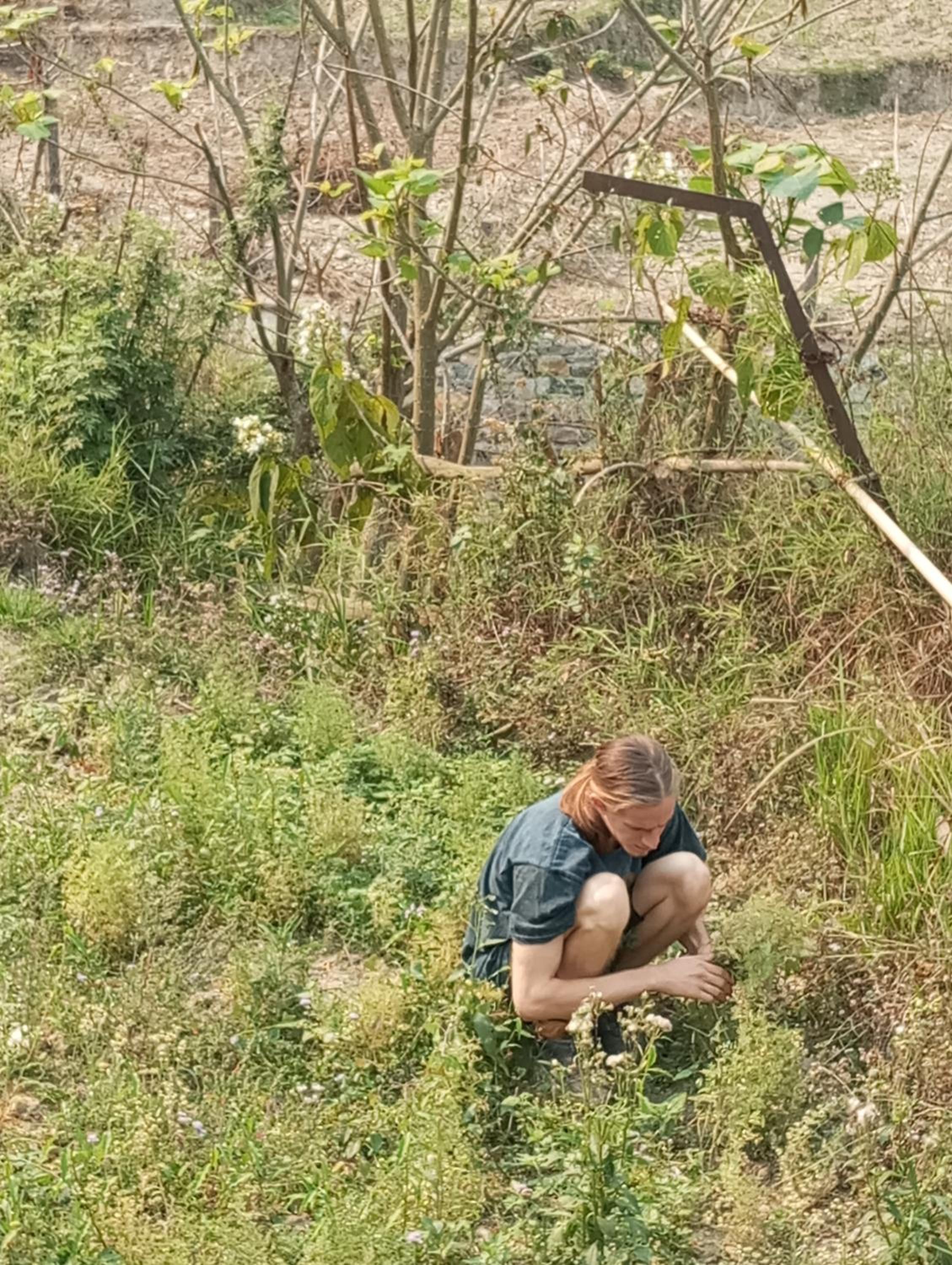 Photo 42