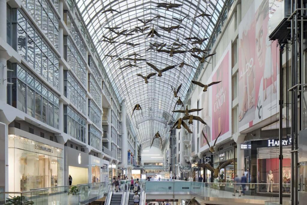 Cozy Condo Near EatonCentre Mall