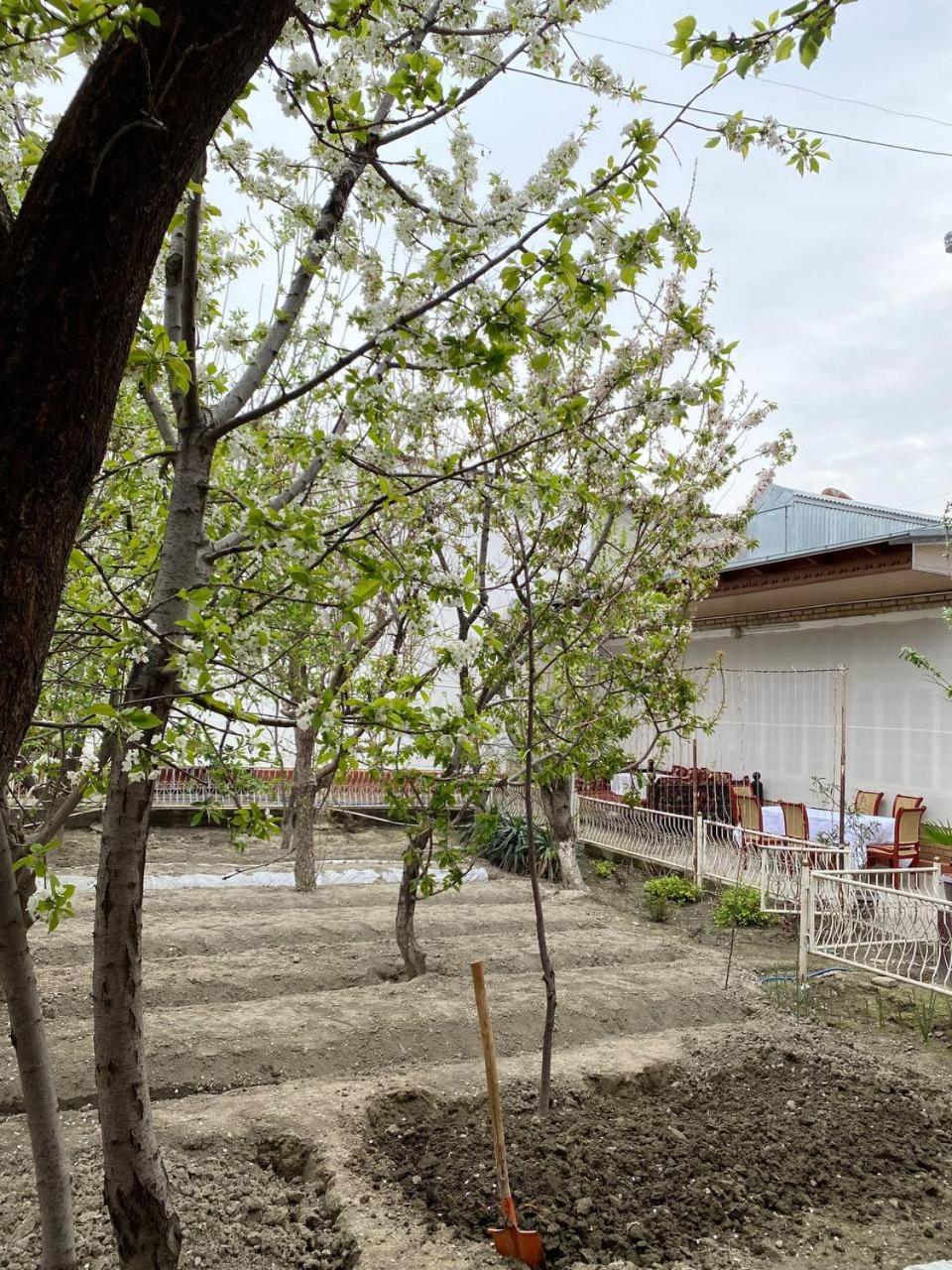 Photo 25