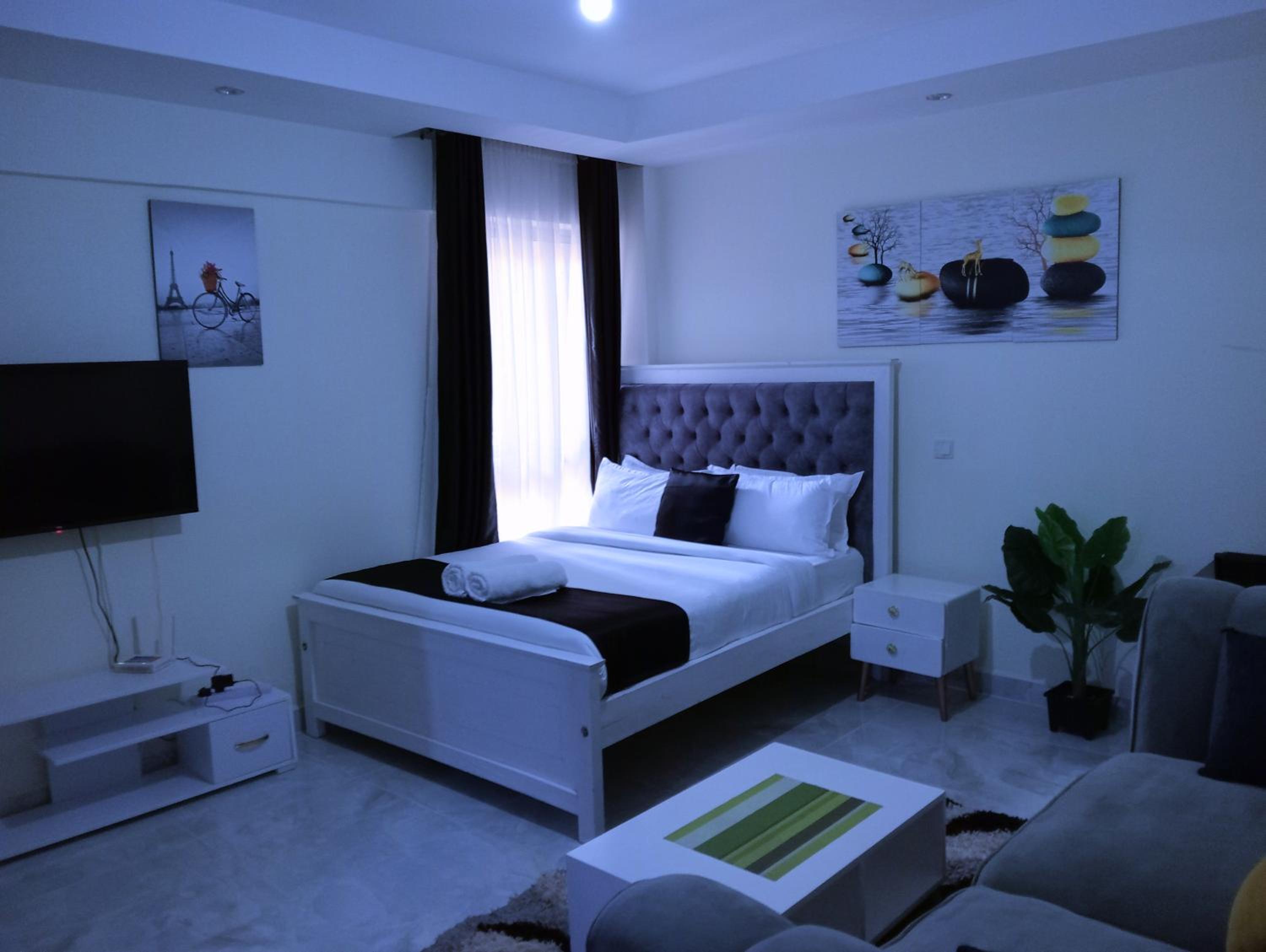 Executive Studio in Kileleshwa, Nairobi view 5