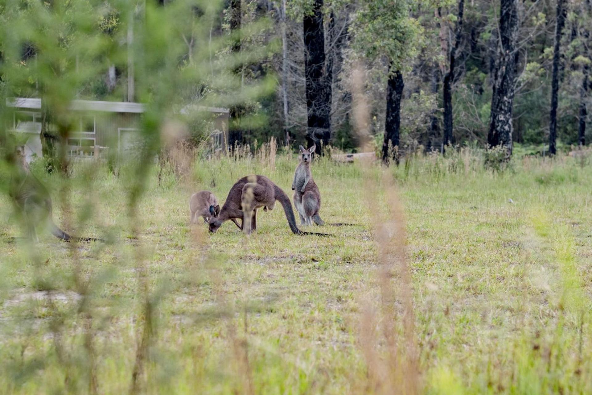other