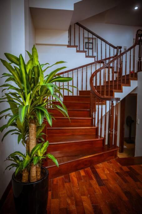 Villa Potter 3