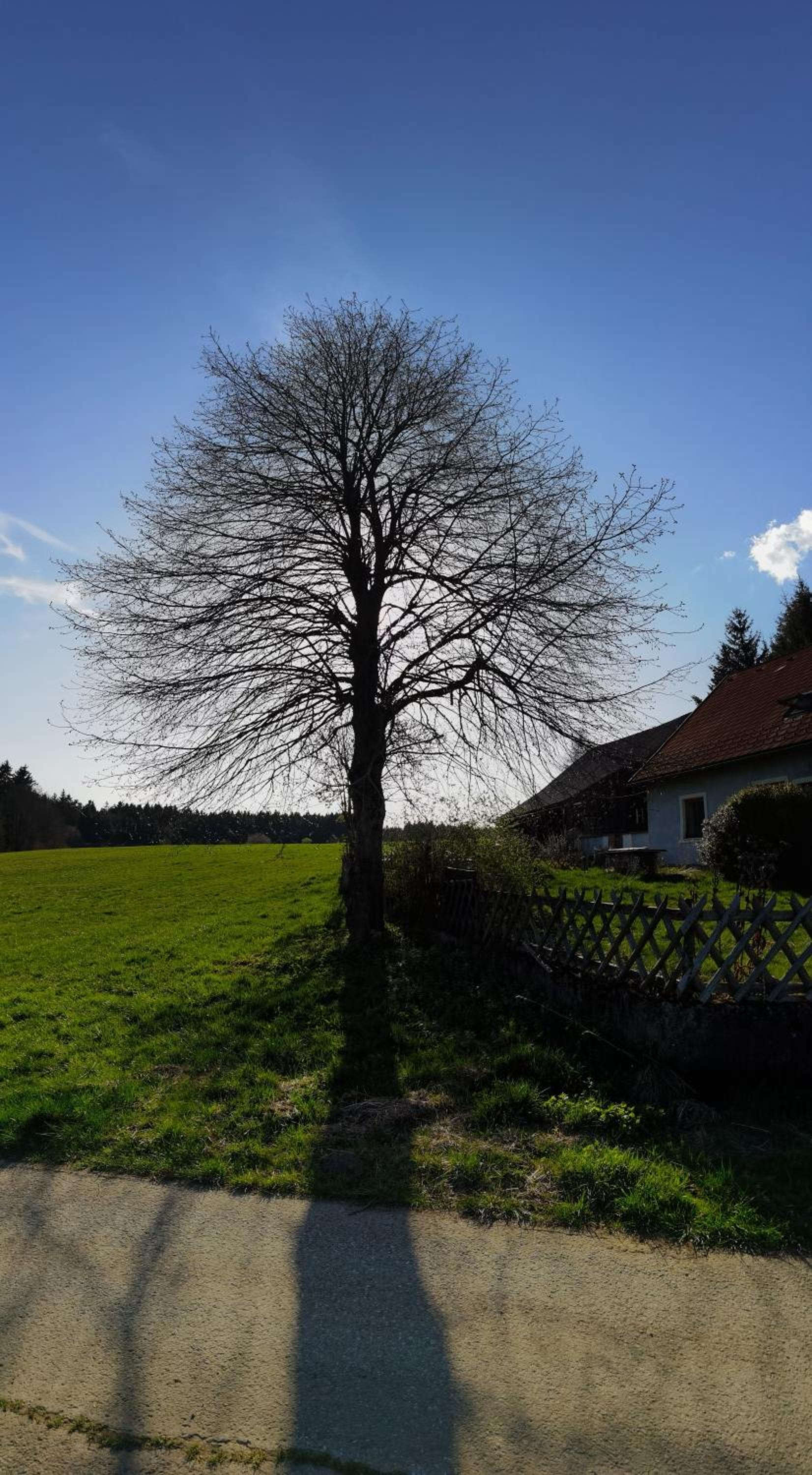 Landhaus auf der Alm