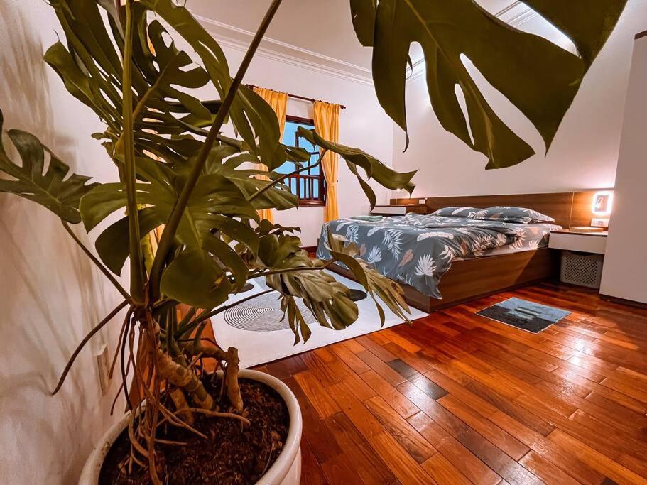 Villa Potter 4