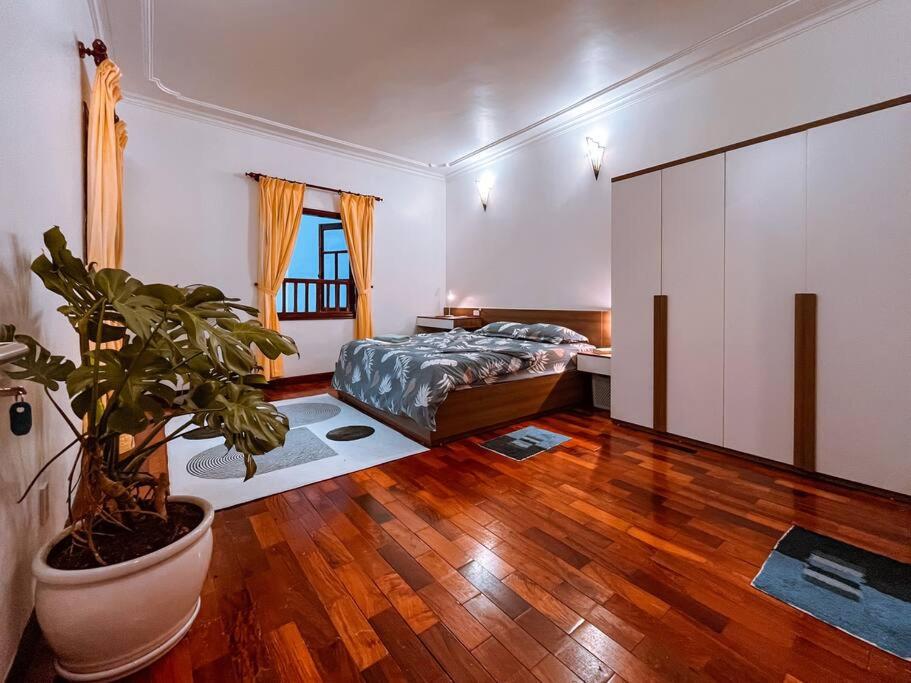 Villa Potter 4
