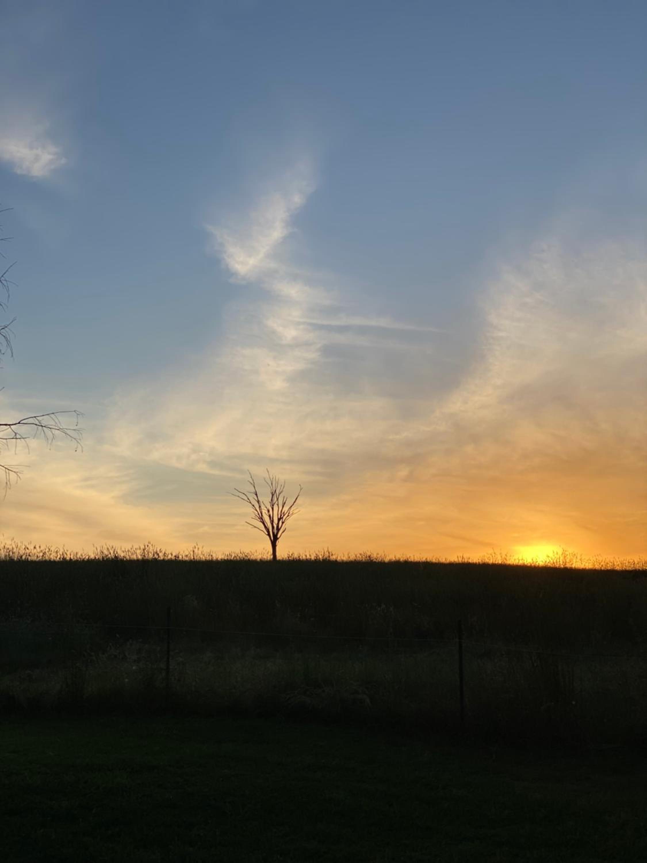 GARRU FARM…. A perfect rustic farm stay near Orange