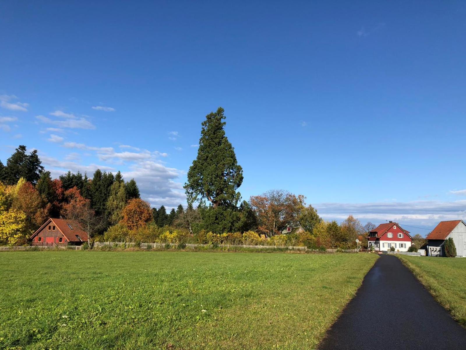 Feriendomizil Nordschwarzwald