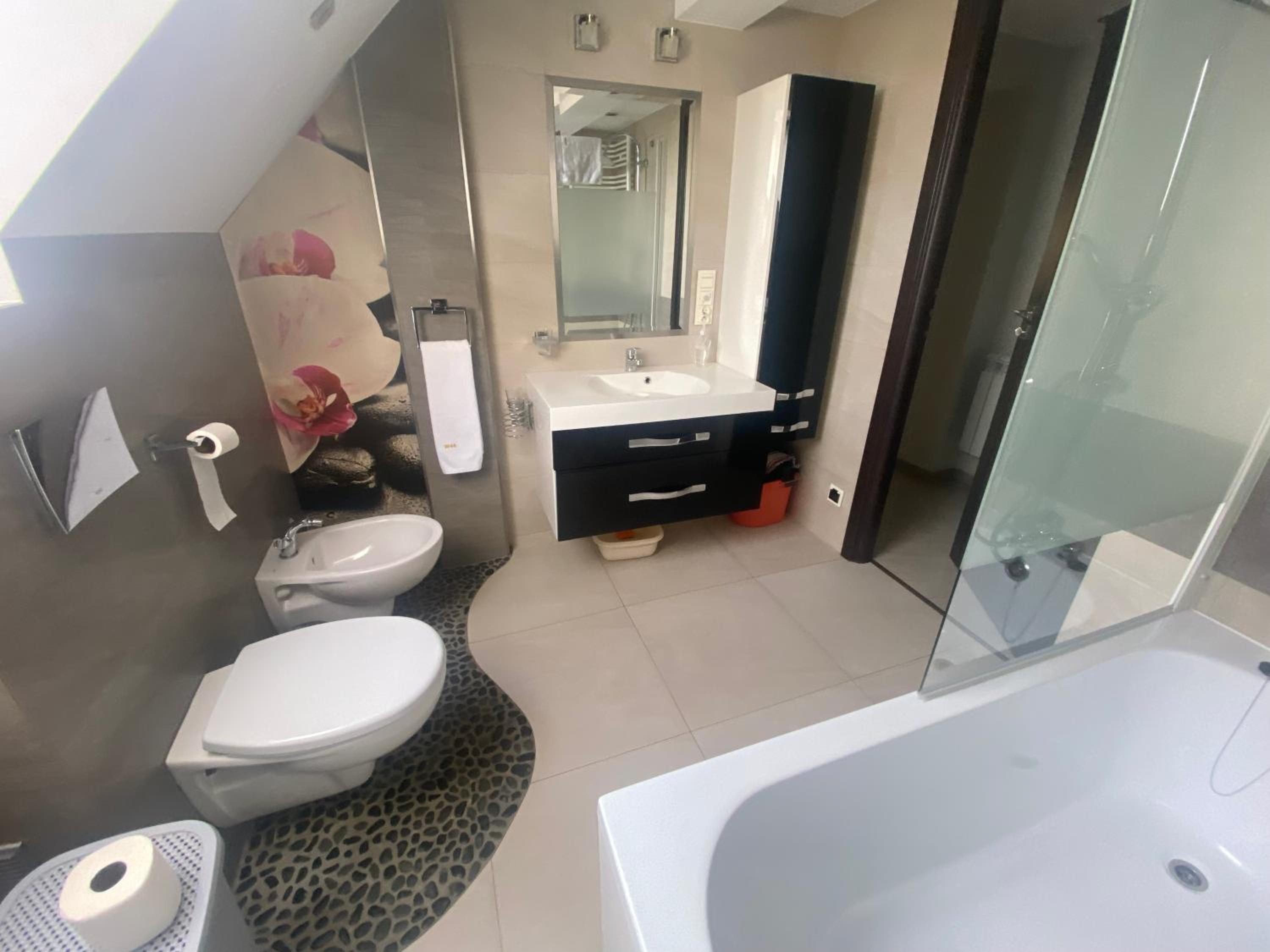 Apartament W46B Deluxe w Bielawie Góry Sowie, photo 3