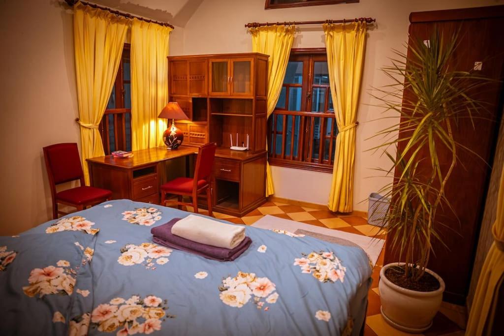 Villa Potter 6