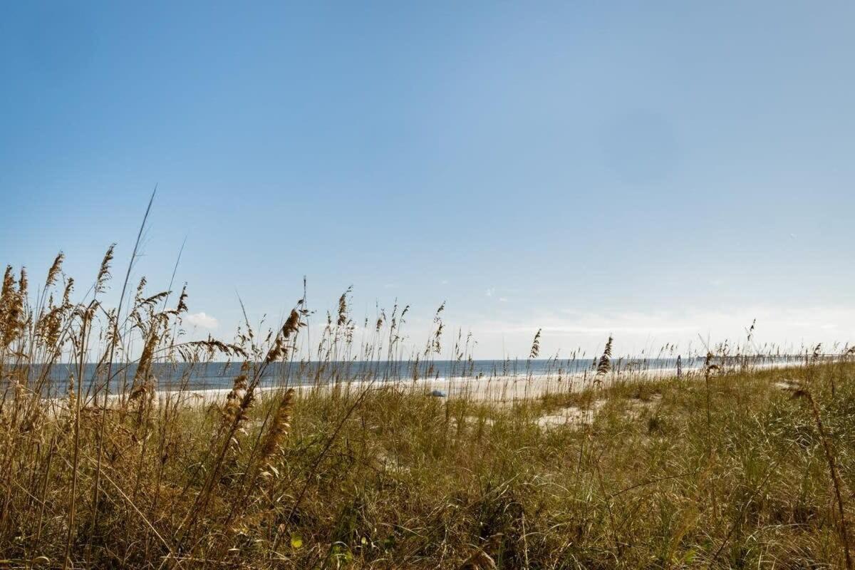 TIDES BEACH PARADISE best served patch of beach view 3