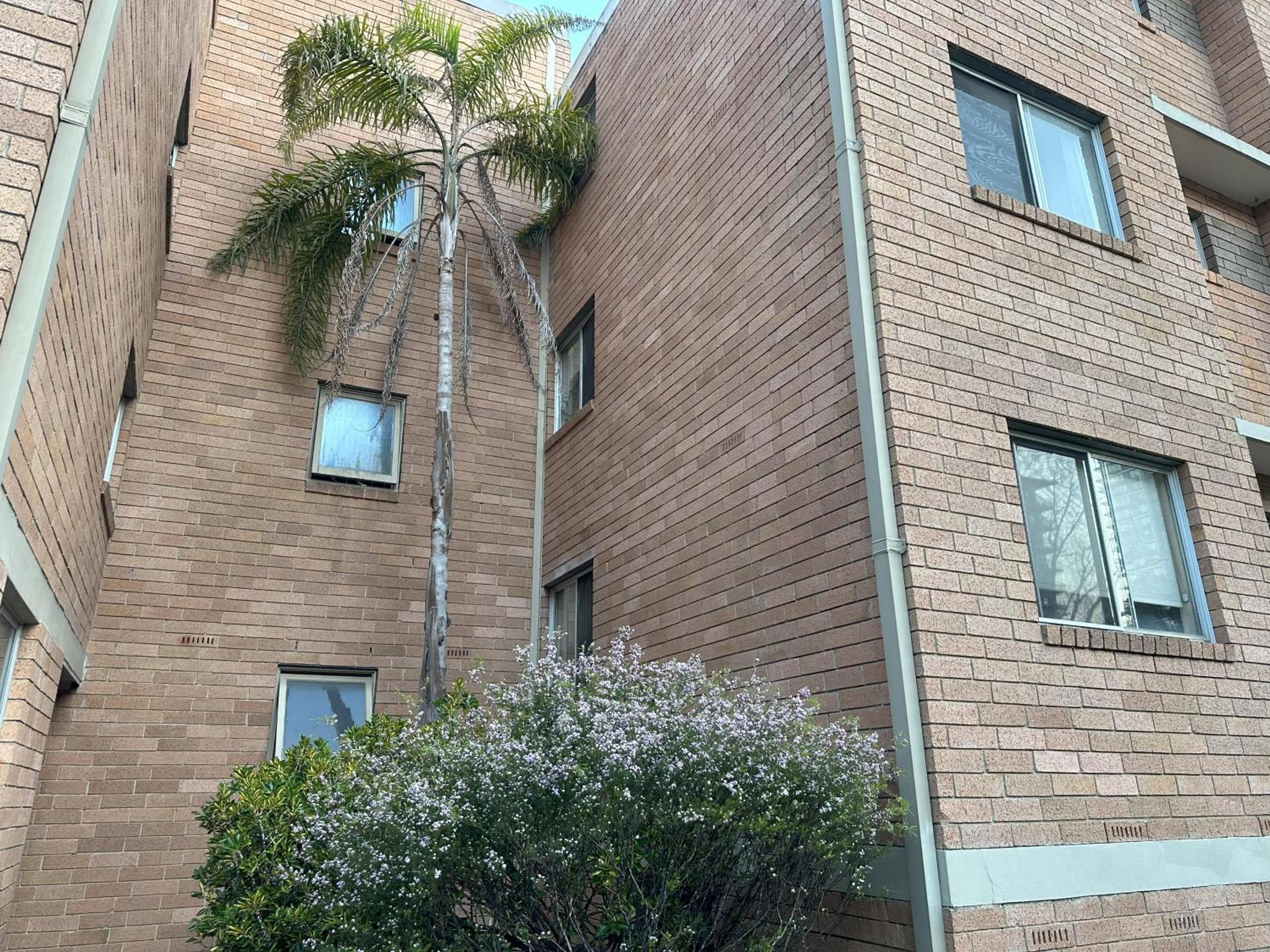 Macquarie Treetops - Sydney 2BR Apt with FREE parking at Macquarie Park