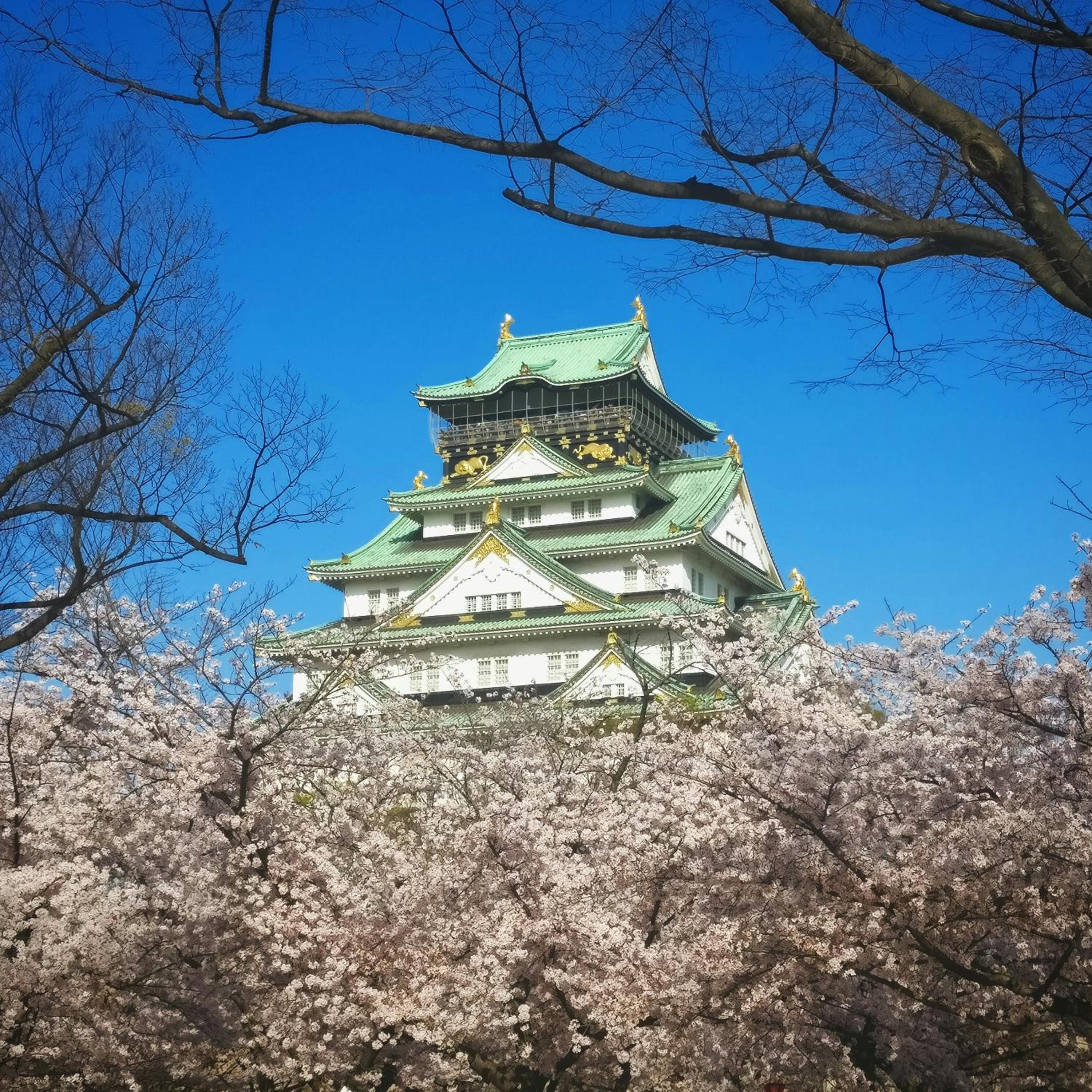 Tsurumibashi-sho 翔