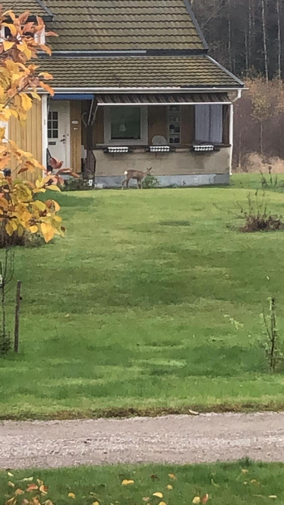 Åsmyragård
