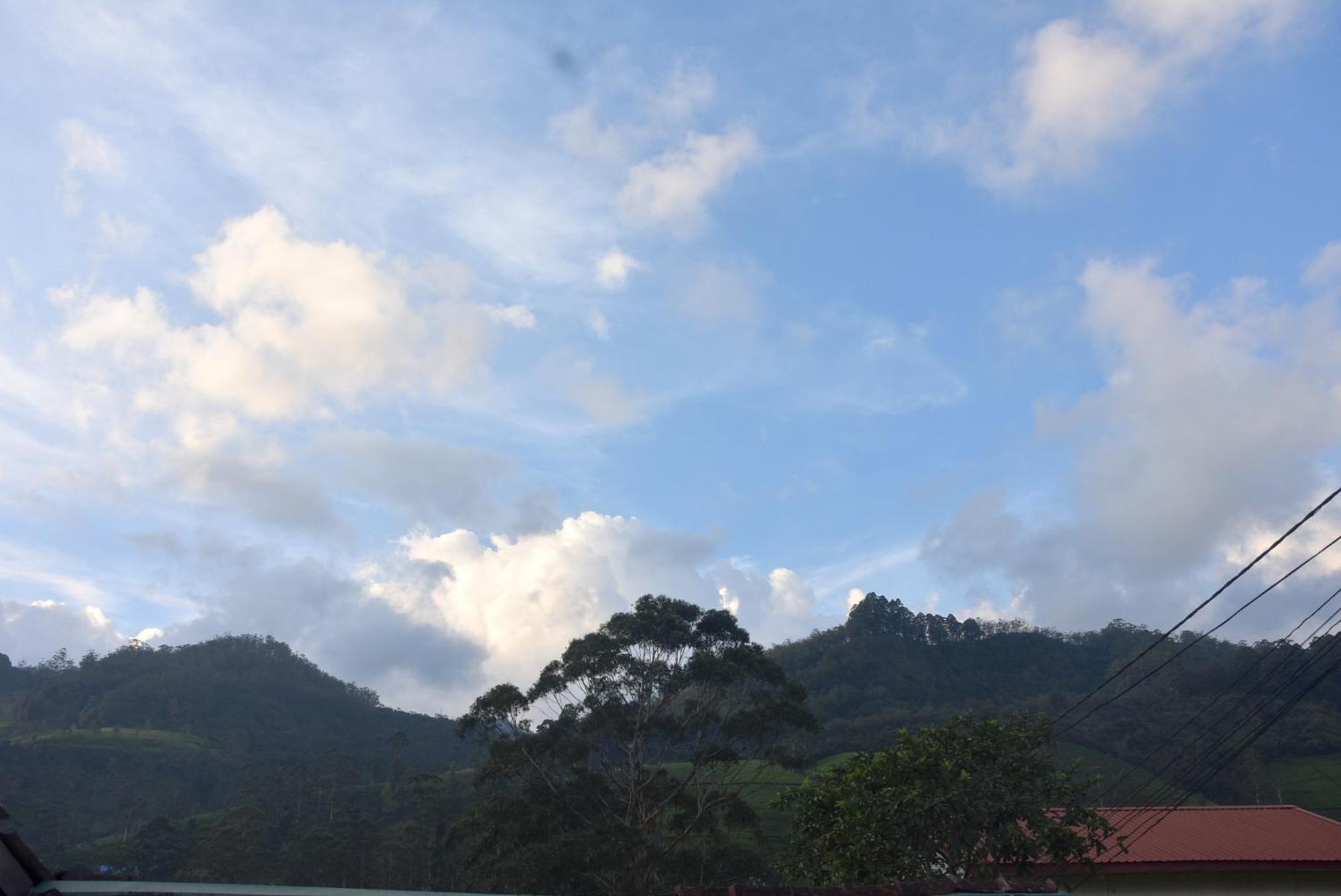 Blue Bed Hostel view 4