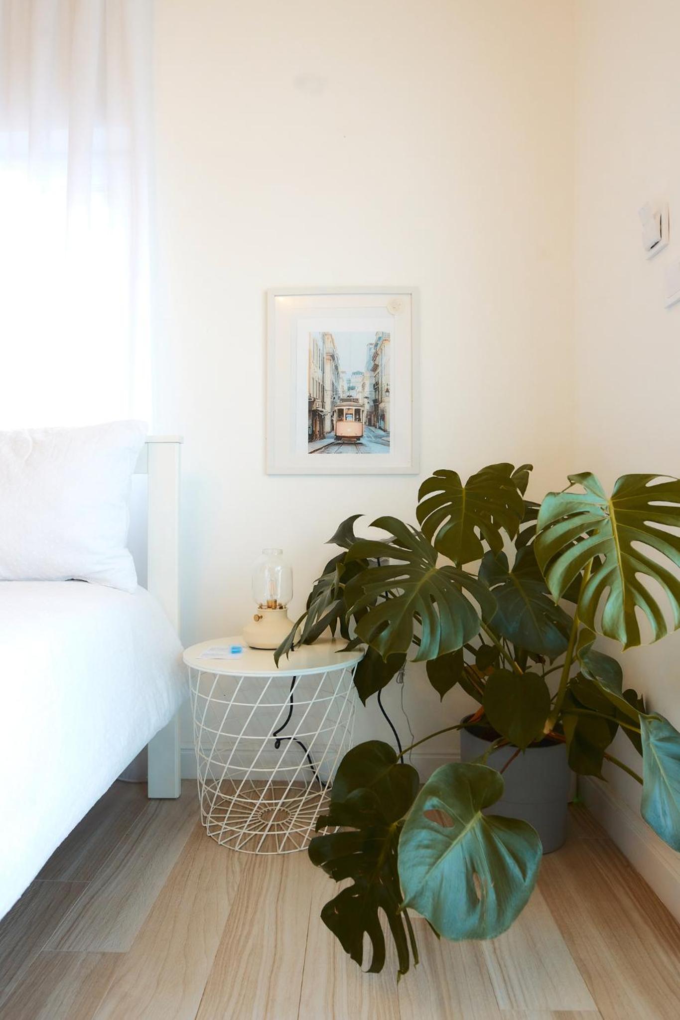 PRIMA APARTMENTS