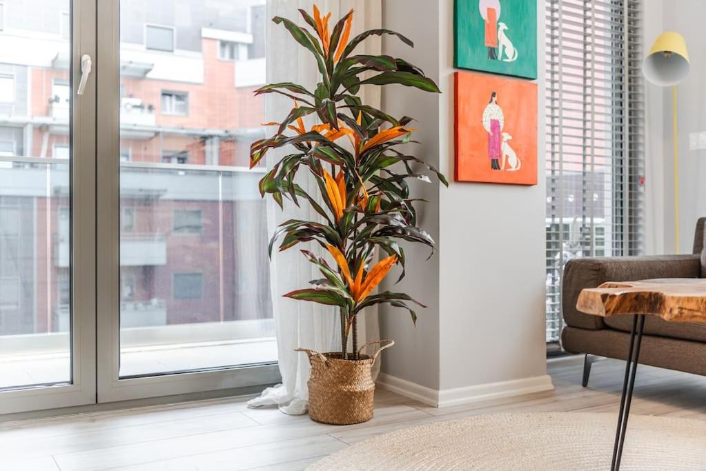The Funky Apartment by PikHost