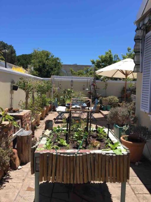 Happy home in Constantia view 4