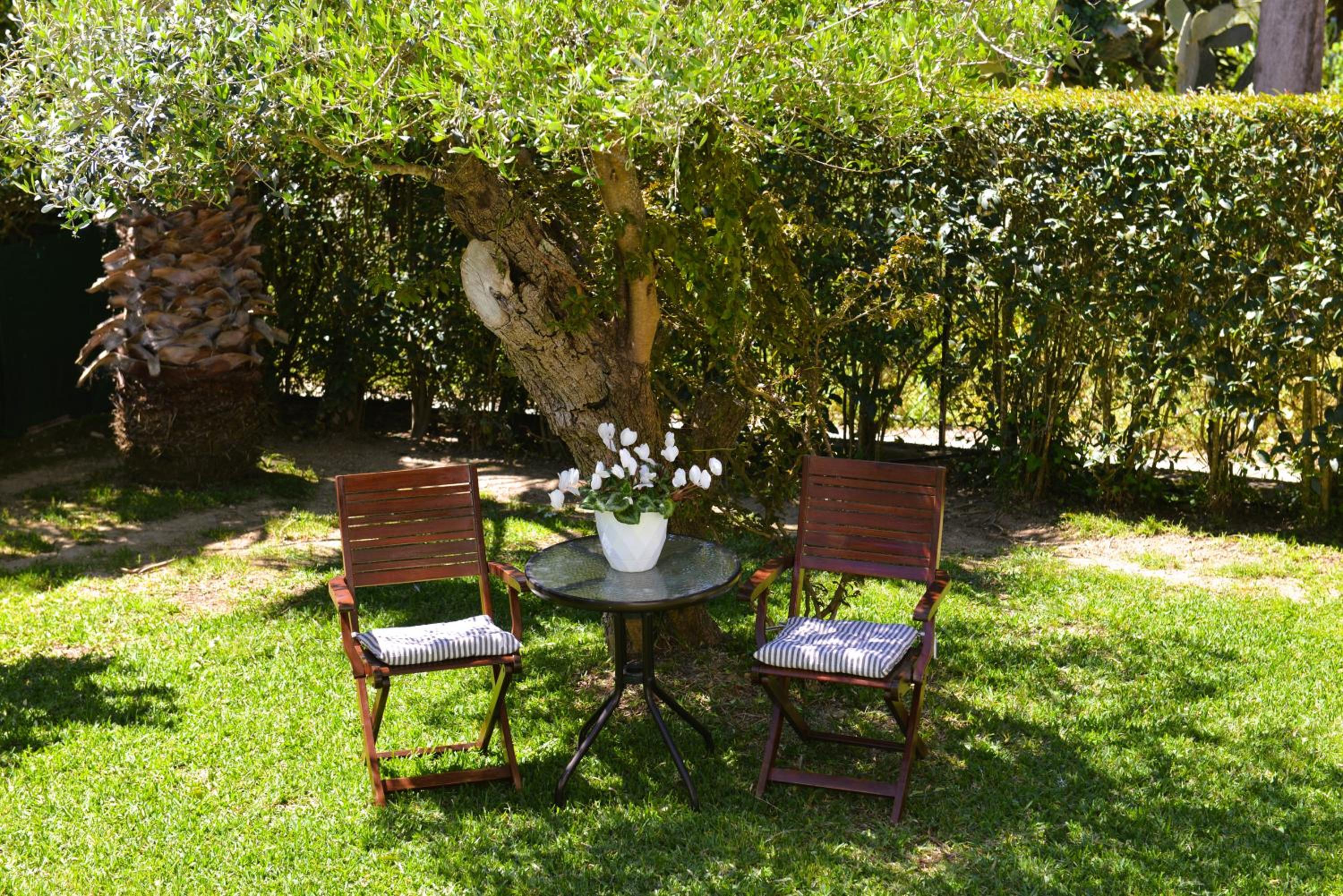 Robusto cosy apartment with garden near Corfu town photo 4