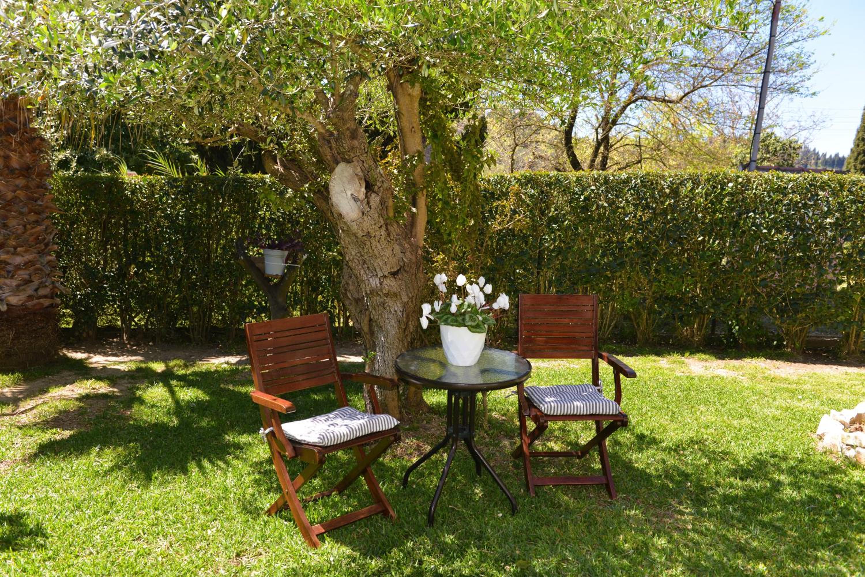 Robusto cosy apartment with garden near Corfu town photo 5