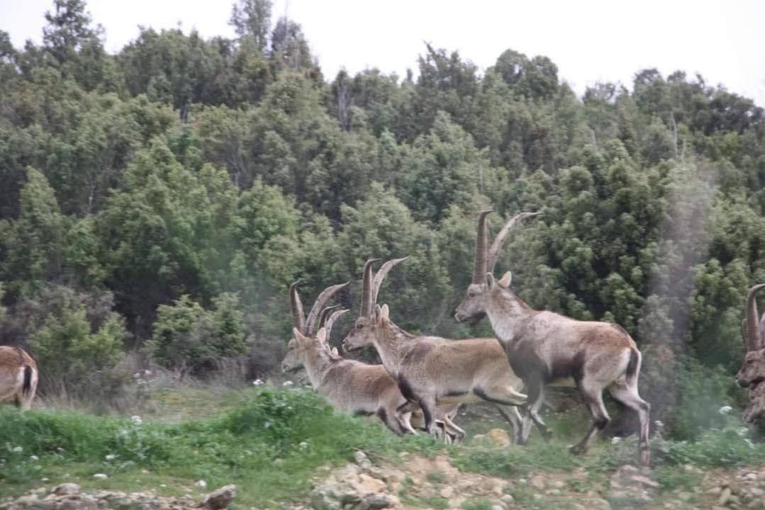 Alojamiento rural Casa Marco Maestrazgo Teruel